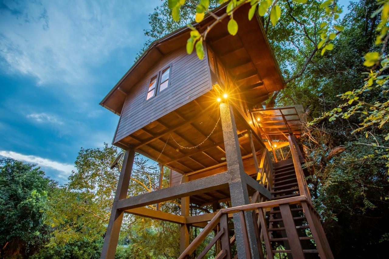 Sigiriya King'S Resort Exterior photo