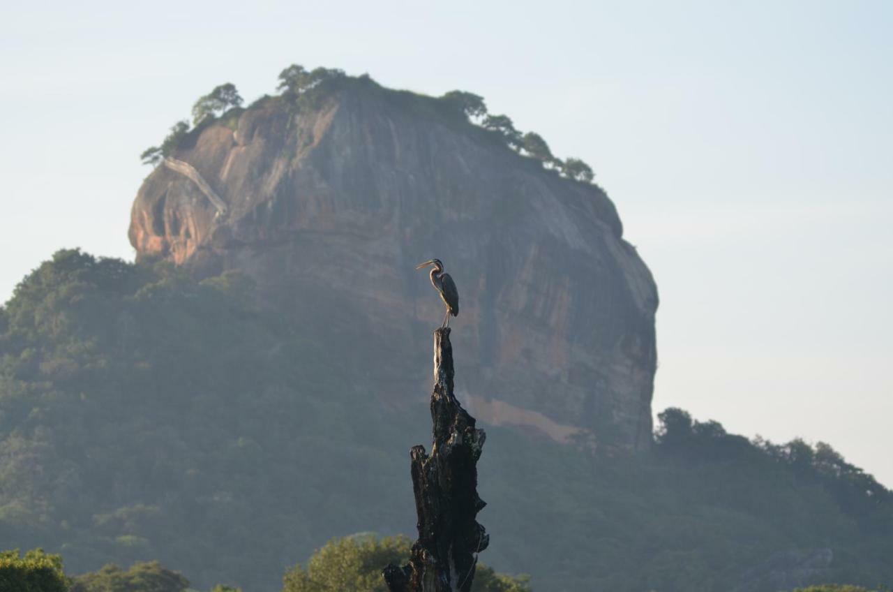 Sigiriya King'S Resort Exterior photo