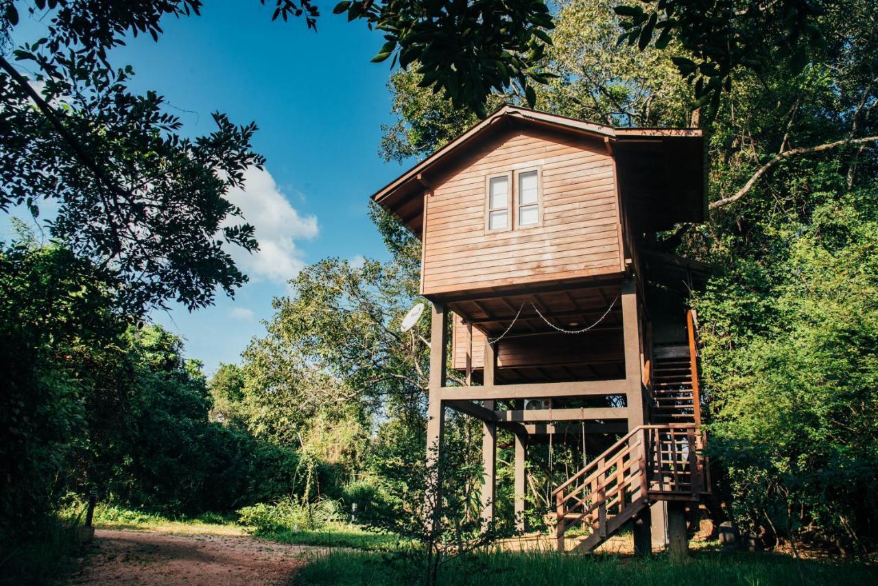 Sigiriya King'S Resort Exterior photo